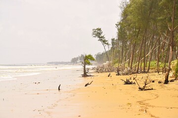 Tajpur